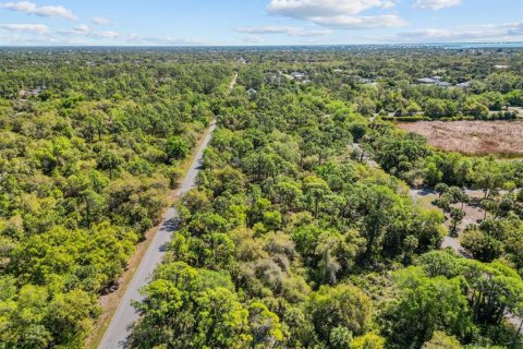Land in Port Charlotte, Florida № 2163532 - photo 14