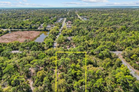 Land in Port Charlotte, Florida № 2163532 - photo 15