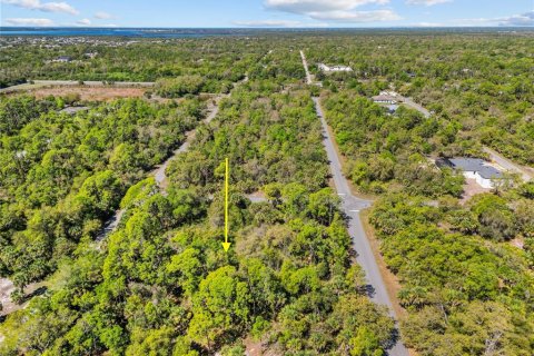 Land in Port Charlotte, Florida № 2163532 - photo 6