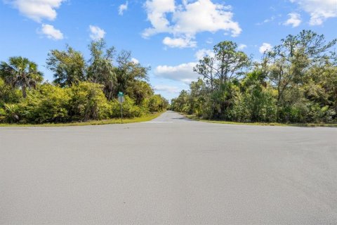 Land in Port Charlotte, Florida № 2163532 - photo 5