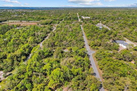 Land in Port Charlotte, Florida № 2163532 - photo 10