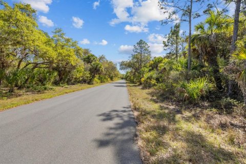 Land in Port Charlotte, Florida № 2163532 - photo 4