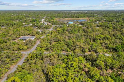 Land in Port Charlotte, Florida № 2163532 - photo 11