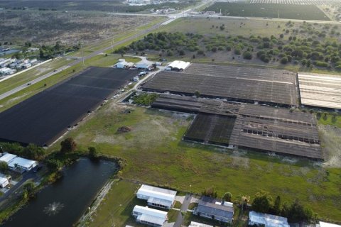 Commercial property in Lake Placid, Florida № 2098334 - photo 7