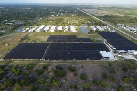 Commercial property in Lake Placid, Florida № 2098334 - photo 11