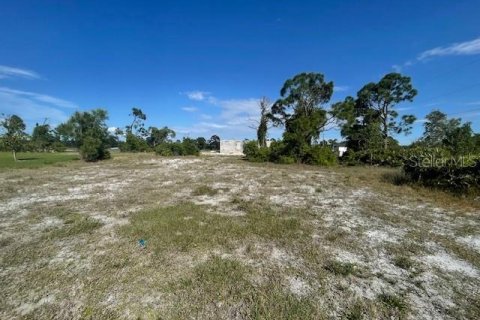 Terrain à vendre à Cape Coral, Floride № 2160697 - photo 4