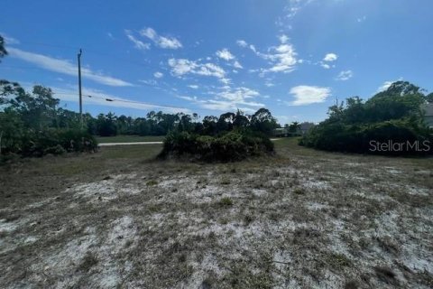 Terrain à vendre à Cape Coral, Floride № 2160697 - photo 2