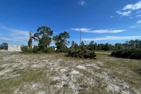Terrain à vendre à Cape Coral, Floride № 2160697 - photo 3