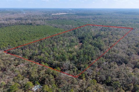 Terreno en venta en Branford, Florida № 2108725 - foto 2