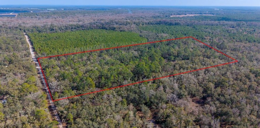Terreno en Branford, Florida № 2108725