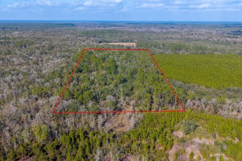Terreno en venta en Branford, Florida № 2108725 - foto 7