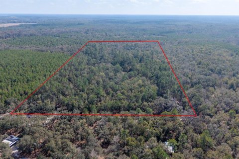 Terreno en venta en Branford, Florida № 2108725 - foto 3