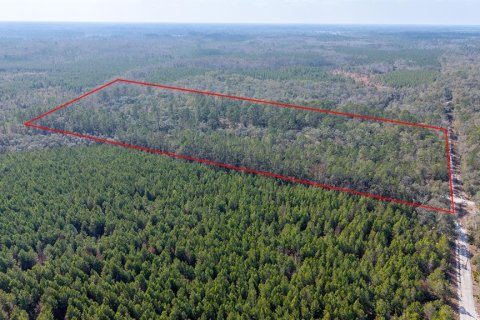 Terreno en venta en Branford, Florida № 2108725 - foto 5