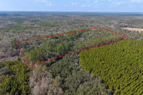 Terreno en venta en Branford, Florida № 2108725 - foto 6