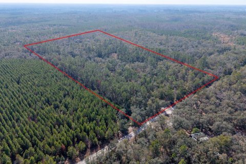 Terreno en venta en Branford, Florida № 2108725 - foto 4