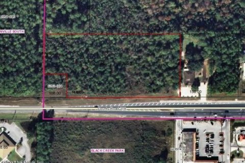 Commercial property in Middleburg, Florida № 765333 - photo 1