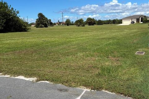 Terrain à Punta Gorda, Floride № 2388306