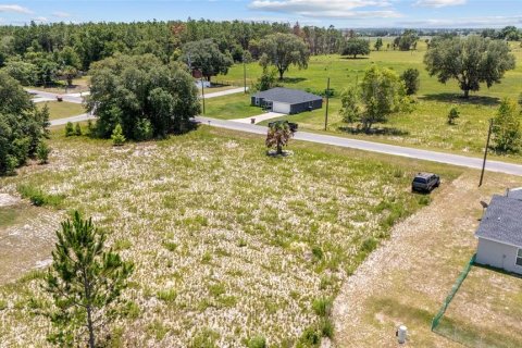 Land in Ocklawaha, Florida № 2207685 - photo 3
