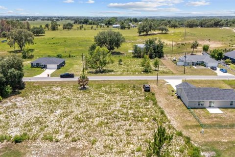 Land in Ocklawaha, Florida № 2207685 - photo 4