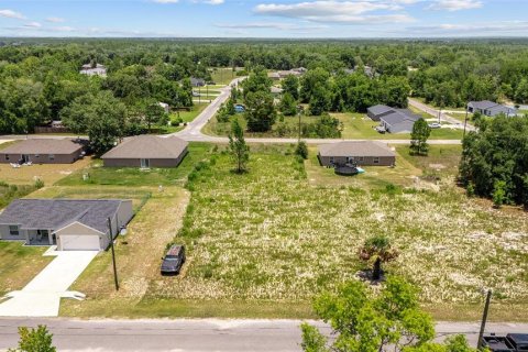 Land in Ocklawaha, Florida № 2207685 - photo 6