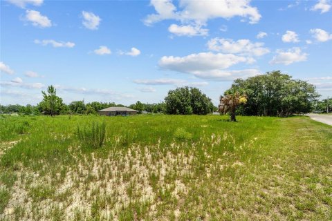 Land in Ocklawaha, Florida № 2207685