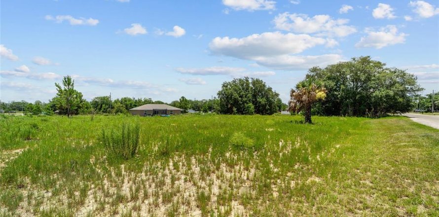 Land in Ocklawaha, Florida № 2207685