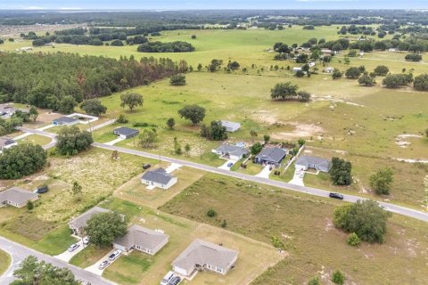 Land in Ocklawaha, Florida № 2207685 - photo 5