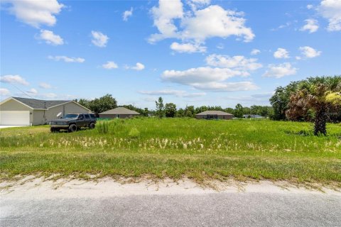 Land in Ocklawaha, Florida № 2207685 - photo 8