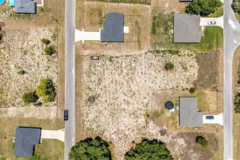 Land in Ocklawaha, Florida № 2207685 - photo 2