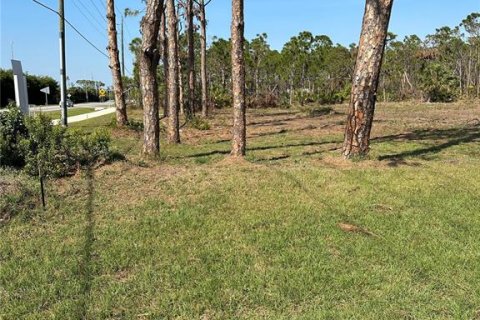 Terrain à vendre à Englewood, Floride № 2298686 - photo 4