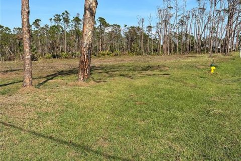 Terrain à Englewood, Floride № 2298686