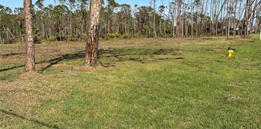 Terrain à Englewood, Floride № 2298686