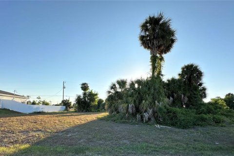 Terrain à vendre à Cape Coral, Floride № 2221648 - photo 3
