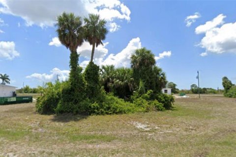 Terrain à Cape Coral, Floride № 2221648