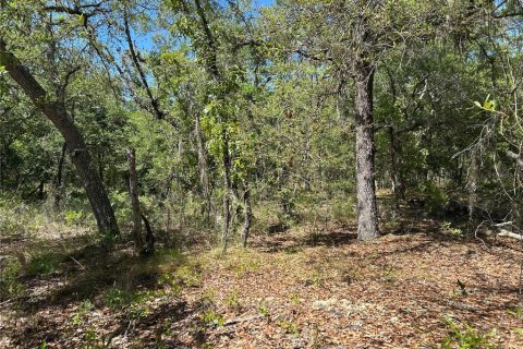 Terrain à vendre à Morriston, Floride № 2229649 - photo 4