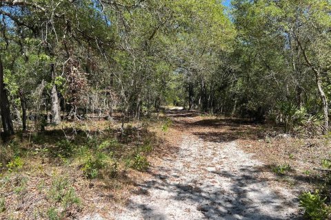 Terrain à vendre à Morriston, Floride № 2229649 - photo 6