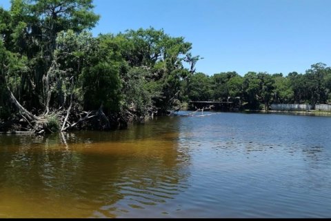 Land in Osteen, Florida № 2391588