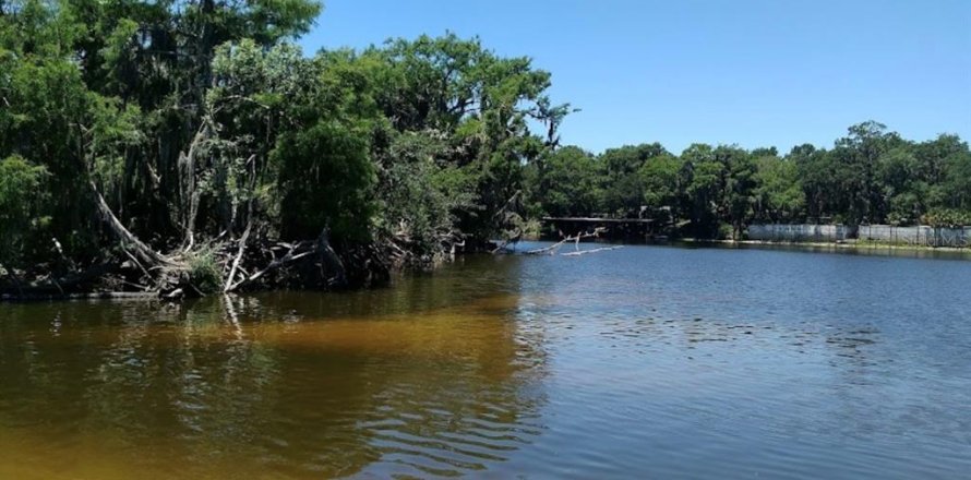Land in Osteen, Florida № 2391588