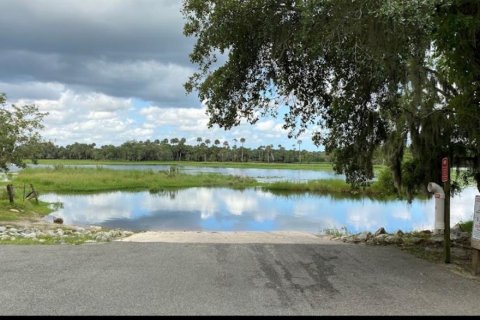Land in Osteen, Florida № 2391588 - photo 4
