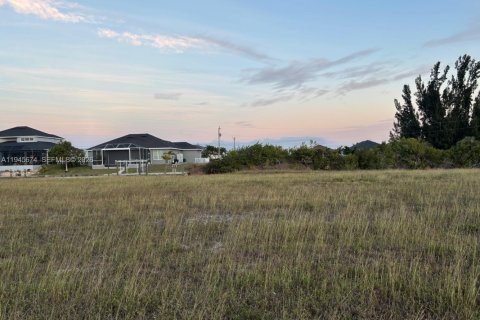 Land in Cape Coral, Florida № 2152871 - photo 5