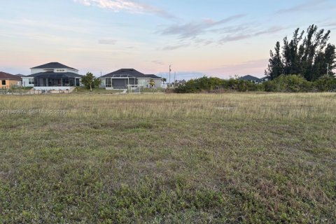 Land in Cape Coral, Florida № 2152871 - photo 4
