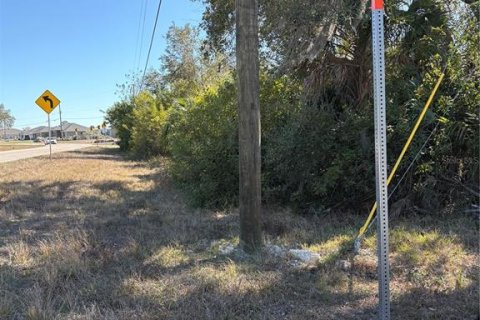 Land in Port Charlotte, Florida № 2163920 - photo 3
