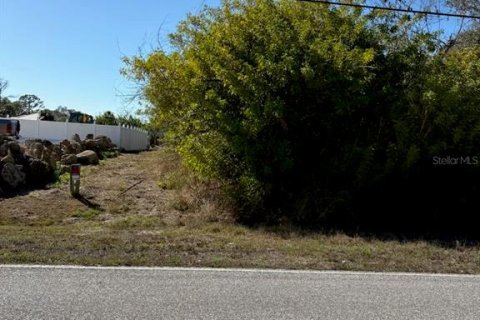 Land in Port Charlotte, Florida № 2163920