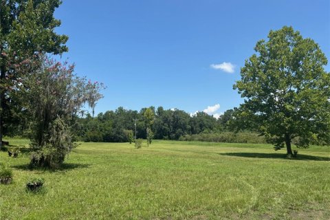 House in East Palatka, Florida 3 bedrooms, 187.29 sq.m. № 1798293 - photo 5