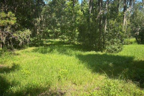 House in East Palatka, Florida 3 bedrooms, 187.29 sq.m. № 1798293 - photo 24