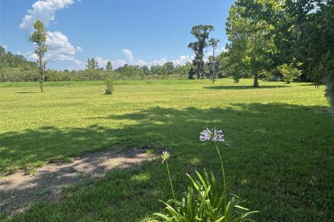 House in East Palatka, Florida 3 bedrooms, 187.29 sq.m. № 1798293 - photo 27