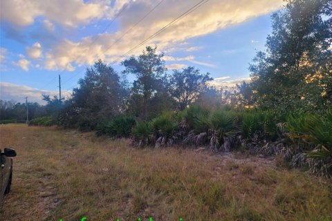 Land in Lehigh Acres, Florida № 2162376