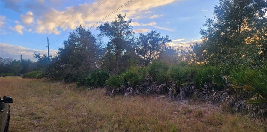 Land in Lehigh Acres, Florida № 2162376
