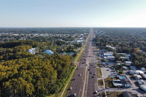 Снять в аренду коммерческую недвижимость в Палм-Харбор, Флорида № 2097332 - фото 5