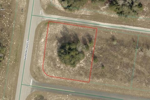 Land in Ocala, Florida № 2160455